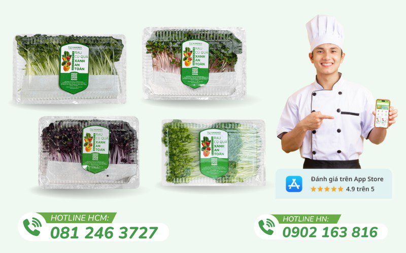 Kamereo chuyên cung cấp rau mầm tươi ngon, chuẩn VietGAP