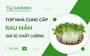 Nhà cung cấp rau mầm giá sỉ, chất lượng