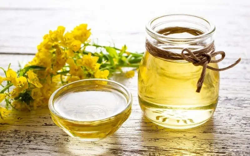 Dầu hạt cải được xếp vào nhóm dầu thực vật tốt cho sức khỏe