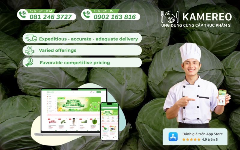 Kamereo provides fresh, affordable cabbage with full VAT invoices