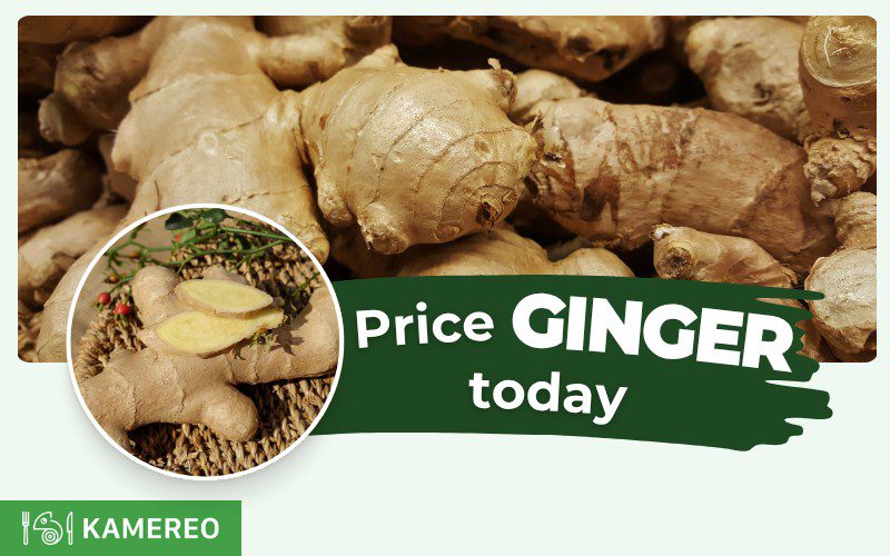 How much is 1 kg of ginger? Today’s fresh ginger price