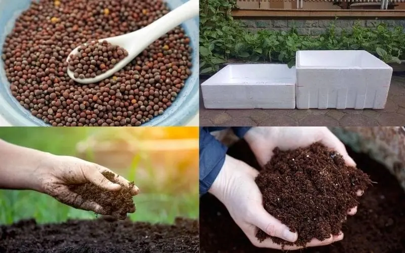 Basic tools to prepare before starting to grow mustard greens at home
