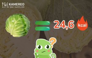 How Many Calories Are in Cabbage? Does Eating Cabbage Help with Weight Loss?
