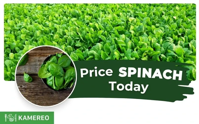 How Much Does Spinach Cost Per KG? How to Choose Fresh Spinach