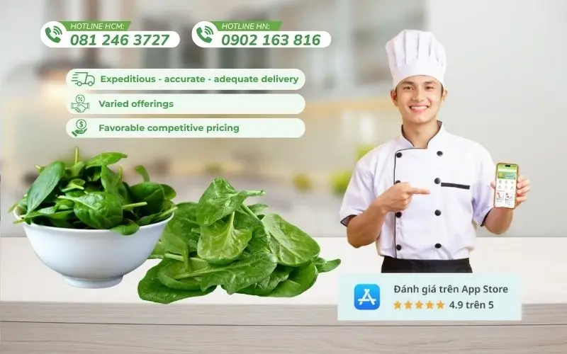 Kamereo provides fresh, clean, high-quality spinach and vegetables for F&B
