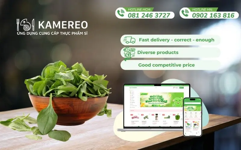 Fresh, good price spinach with full invoices – only at Kamereo