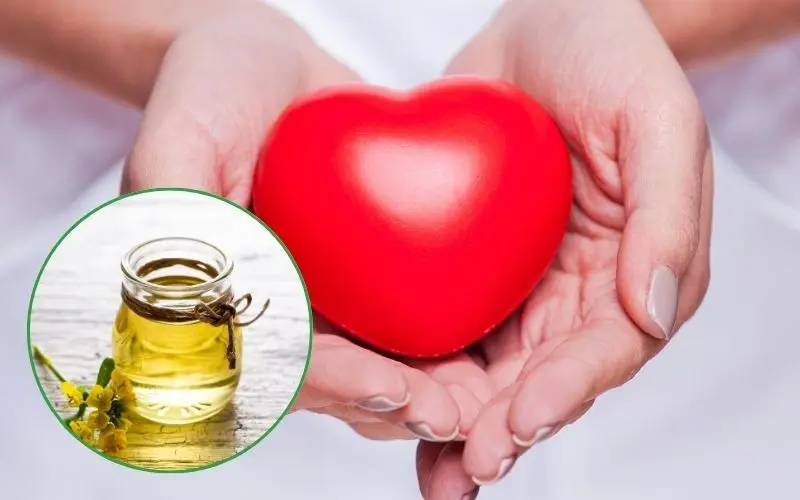Japanese canola oil helps protect the heart due to its low saturated fat and no cholesterol content