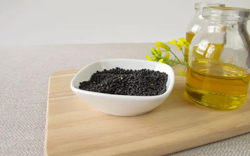Do not overuse canola oil to avoid omega-3 and omega-6 imbalance