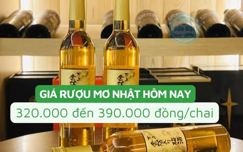 Giá rượu mơ Nhật Bản dao động từ 320.000 – 390.000 đồng/chai tùy thuộc vào thương hiệu và dung tích