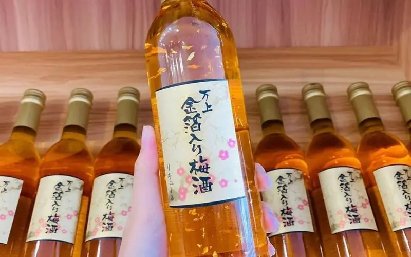 Acid citric trong rượu mơ giúp giúp giảm mệt mỏi, cải thiện năng lượng