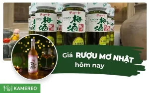 Giá rượu mơ Nhật Bản bao nhiêu? Cập nhật bảng giá rượu mơ Nhật mới nhất
