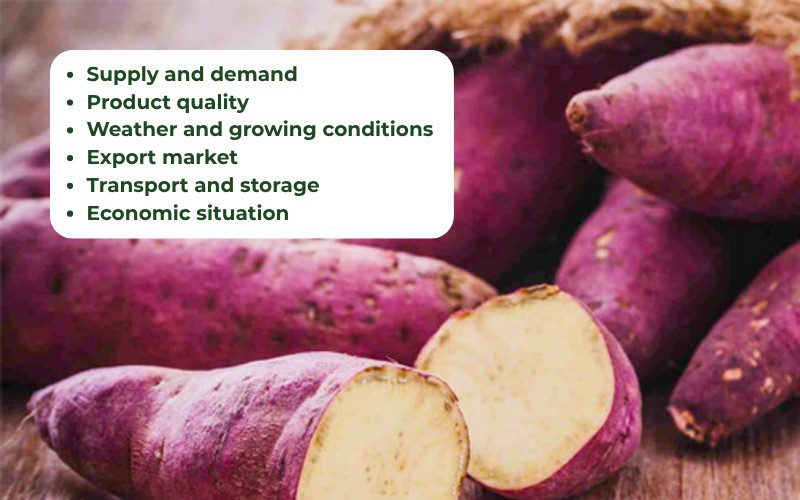 Sweet potato prices are affected by many factors