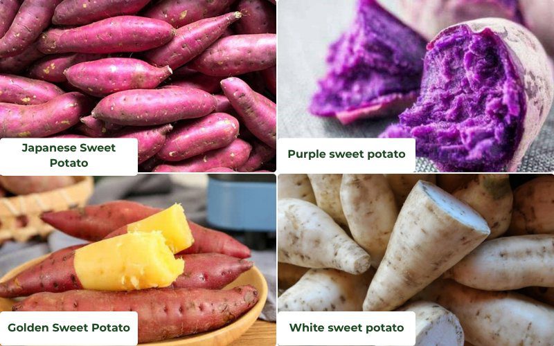 There are many types of sweet potatoes on the market