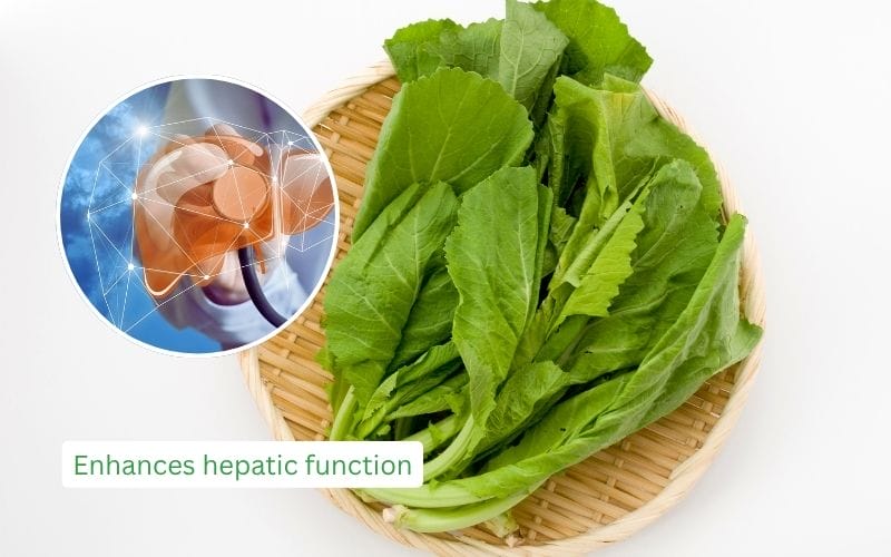 Chlorophyll in mustard greens supports liver detoxification and cancer prevention