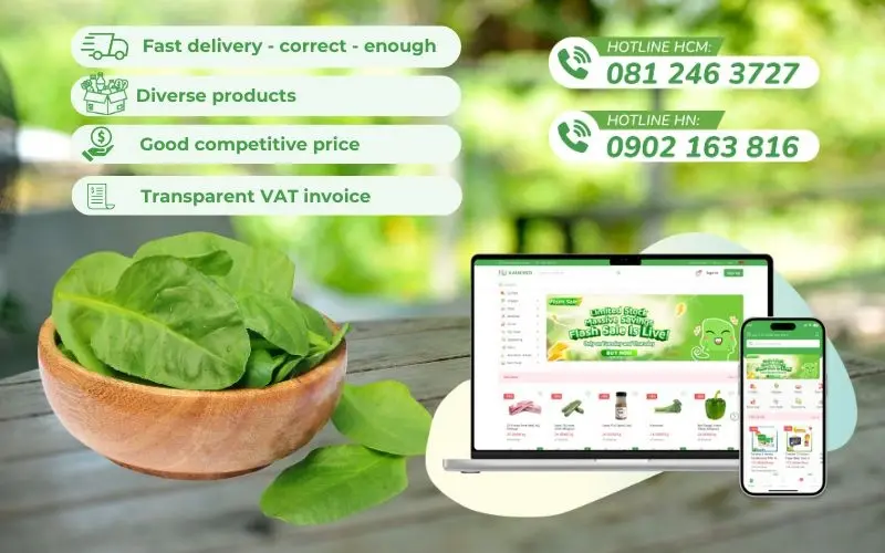 Kamereo - Your Supplier of Fresh, Delicious, and Affordable Spinach