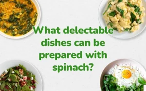 What Delicious Dishes Can You Cook with Spinach? 10+ Must-Try Spinach Recipes