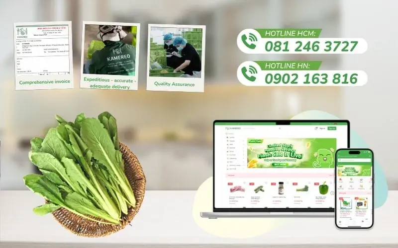 Kamereo supplies wholesale fresh, high-quality mustard greens with VAT invoice
