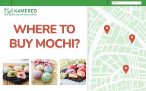 10+ Places to Buy Delicious, Affordable Japanese Mochi
