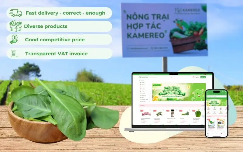 Kamereo provides fresh, traceable spinach with full VAT invoices