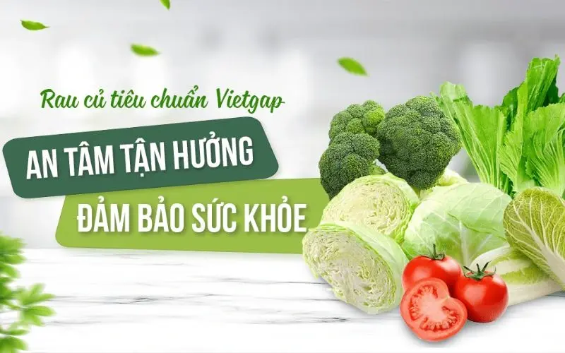Green Family guarantees clean spinach with safe farming and transparent processes