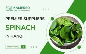 Where to Buy Fresh and Affordable Spinach in Hanoi?