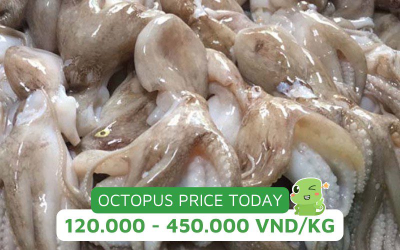 Update the latest octopus prices by type and market