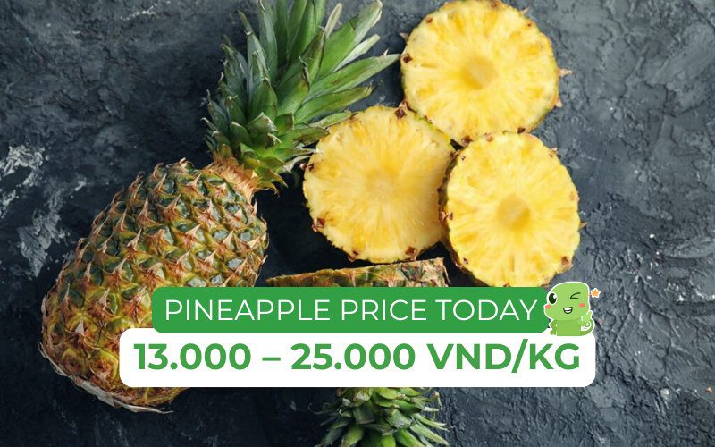 The price of pineapples today ranges from 13,000 to 25,000 VND/kg