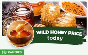 How Much Does Pure Wild Honey Cost Per Liter?