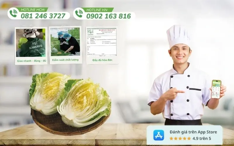 Kamereo mang đến nguồn cải thảo tươi ngon thu hoạch trực tiếp từ nhà vườn uy tín