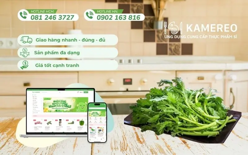 Kamereo cung cấp cải cúc tươi ngon, chất lượng cao và có hóa đơn VAT đầy đủ