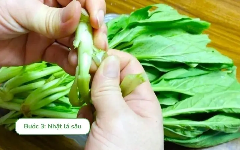 Loại bỏ lá úa, lá sâu giữ lại phần lá non xanh tươi
