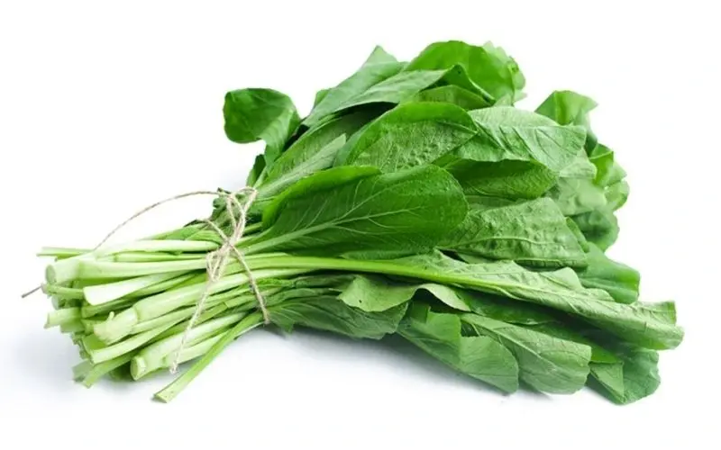 Cải ngọt cần ưu tiên chọn cây xanh tươi, cuống chắc và không bị úa vàng