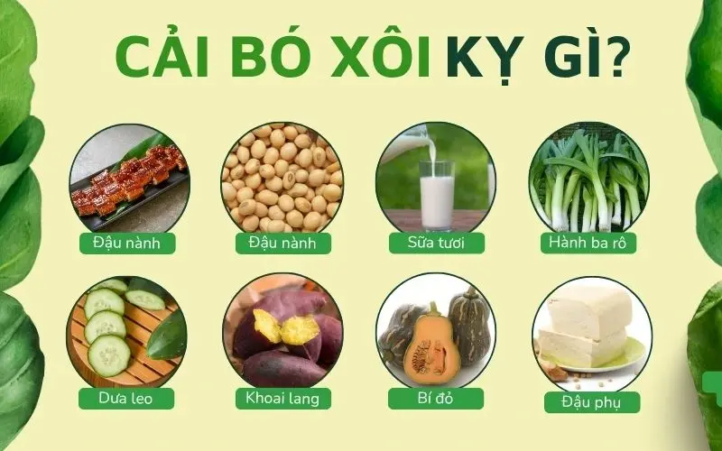 Cải bó xôi là một loại rau rất tốt cho sức khỏe, nhưng không phải kết hợp với thực phẩm nào cũng an toàn