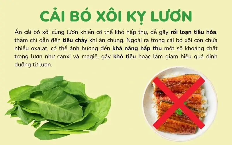 Cải bó xôi và lươn có tính chất đối lập, dễ gây rối loạn tiêu hóa