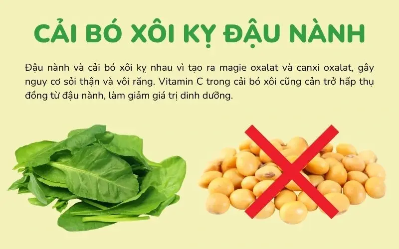 Cải bó xôi kết hợp với sữa dễ tạo canxi oxalat, cản trở hấp thụ dinh dưỡng