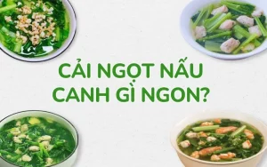 Cải ngọt nấu canh gì ngon? Gợi ý các món canh ngon nấu cùng cải ngọt