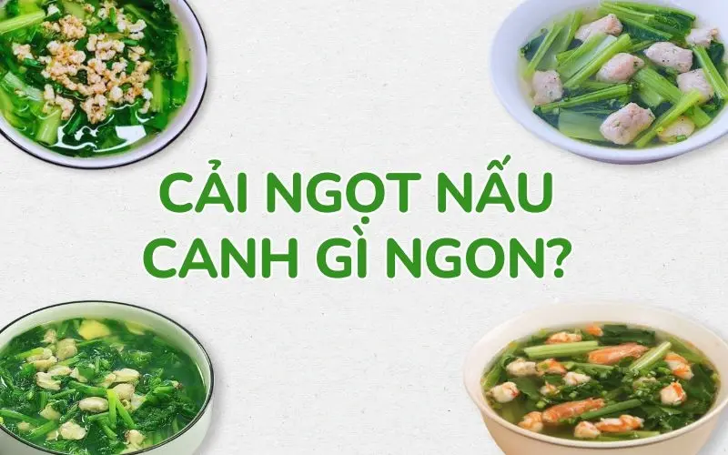 Cải ngọt nấu canh gì ngon? Gợi ý các món canh ngon nấu cùng cải ngọt