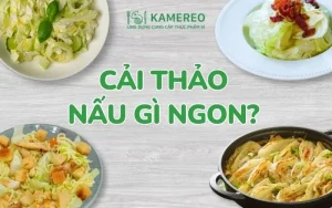Cải thảo nấu gì ngon? Các món canh cải thảo, cải thảo xào ngon, hấp dẫn