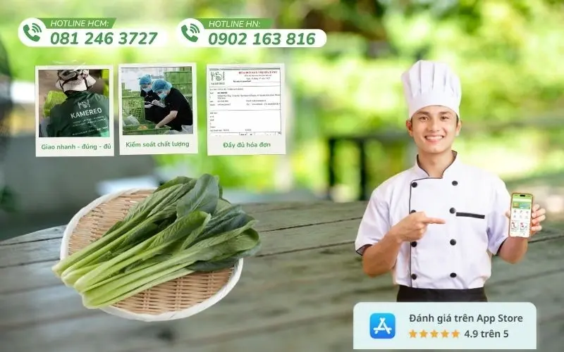 Kamereo cung cấp cải ngọt tươi ngon, chất lượng cao, thu hoạch từ nông trại uy tín