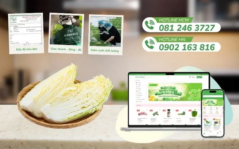 Kamereo là nhà cung cấp rau cải thảo tươi ngon, giá sỉ tốt cho doanh nghiệp