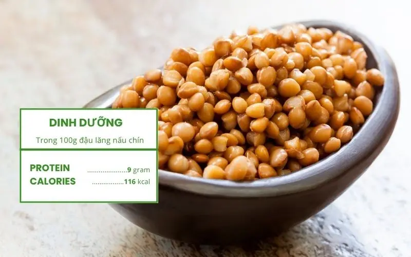 Đậu lăng cung cấp protein, chất xơ và nhiều dưỡng chất thiết yếu