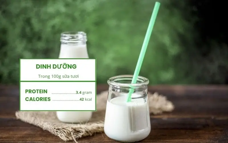 Sữa là nguồn cung cấp protein hoàn chỉnh, dễ hấp thu và rất phổ biến