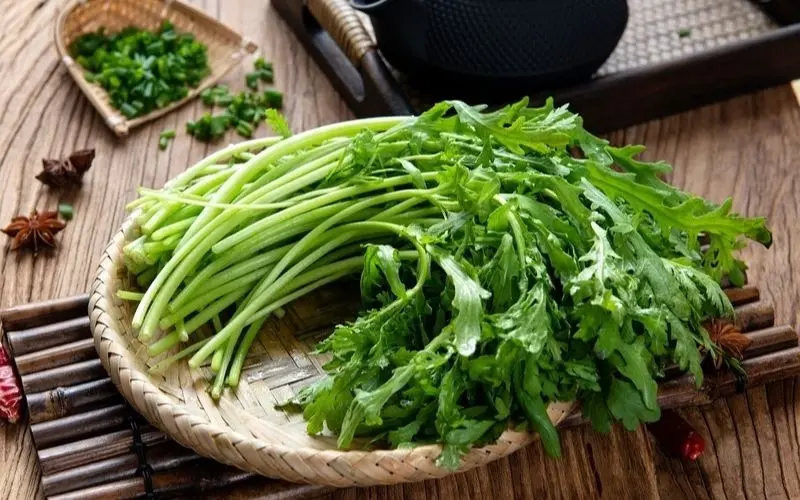 Choose dark green chrysanthemum greens with undamaged leaves for a more delicious dish