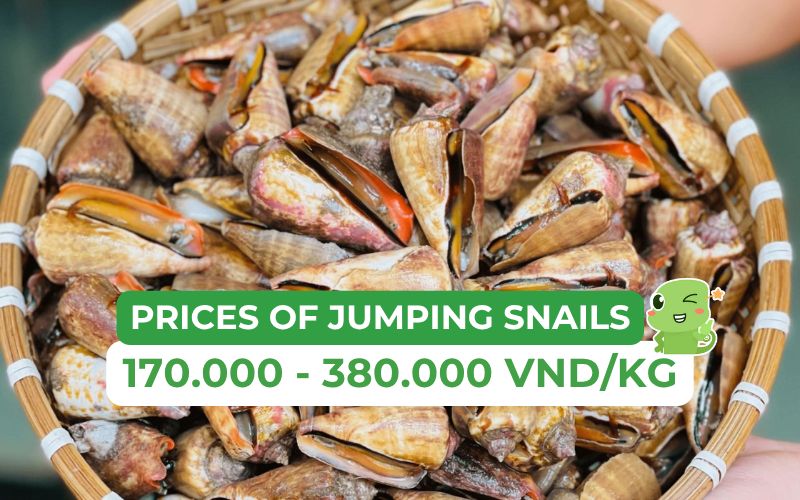 The price of jumping snails today ranges from 170,000 to 380,000 VND