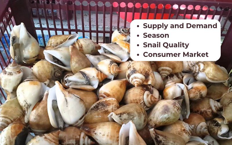 The price of jumping snails depends on many environmental and economic factors
