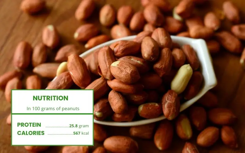 Peanuts are rich in plant-based protein and healthy fats, promoting fullness and cardiovascular health