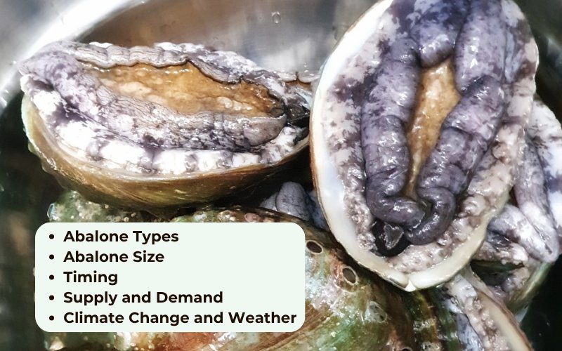 Depending on the time, abalone will have different prices