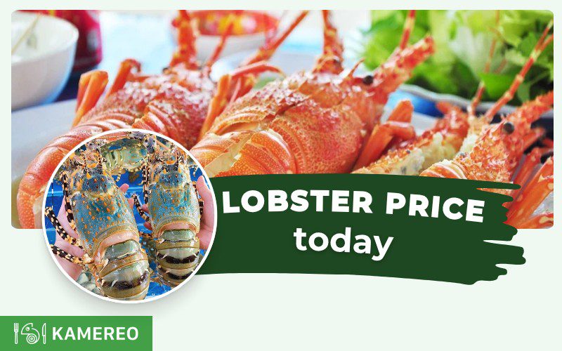 Lobster Price: How Much Is Lobster Per Kg? Today's Lobster Price Chart