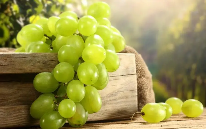 Grapes provide water, vitamins, and natural antioxidants