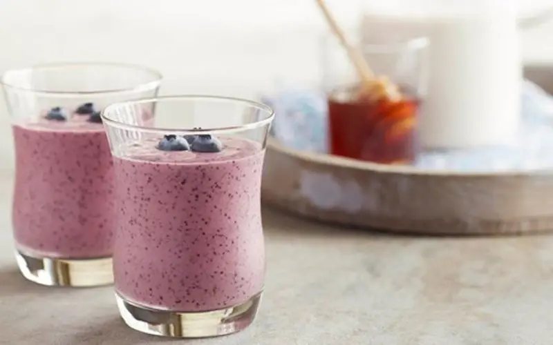Blueberry smoothie from fat-free yogurt helps supplement antioxidants